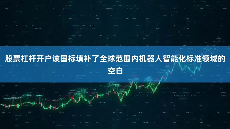 股票杠杆开户该国标填补了全球范围内机器人智能化标准领域的空白