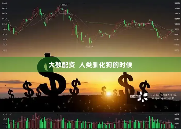 大额配资  人类驯化狗的时候