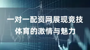 一对一配资网展现竞技体育的激情与魅力