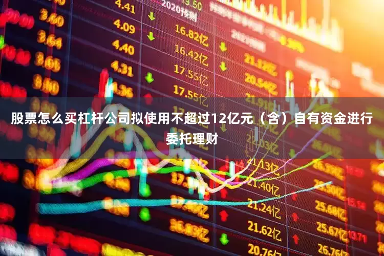 股票怎么买杠杆公司拟使用不超过12亿元（含）自有资金进行委托理财