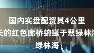 国内实盘配资其4公里长的红色廊桥蜿蜒于翠绿林海